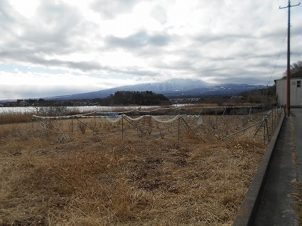 DSCN7894.jpg