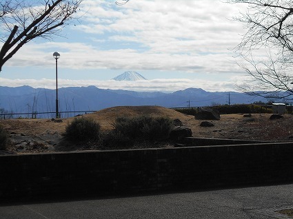 DSCN7898.jpg