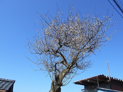 DSCN7916.jpg