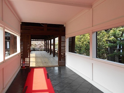 DSCN7924.jpg