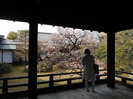 DSCN7926.jpg