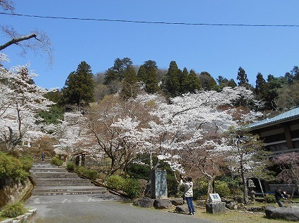DSCN7951.jpg