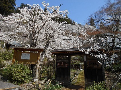 DSCN7952.jpg