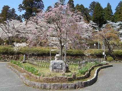 DSCN7957.jpg