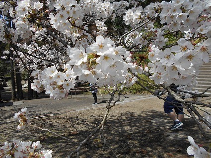 DSCN7959.jpg