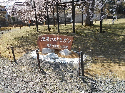 DSCN7965.jpg