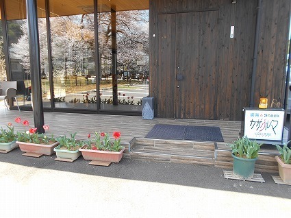 DSCN7969.jpg