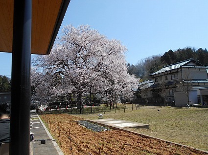 DSCN7970.jpg