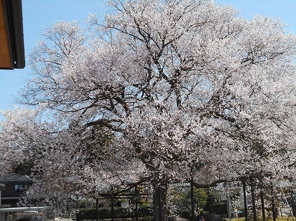 DSCN7972.jpg