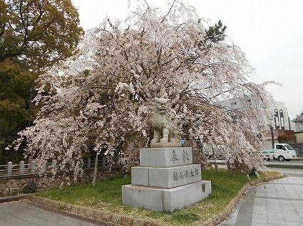 DSCN7977.jpg