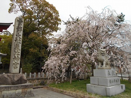 DSCN7978.jpg