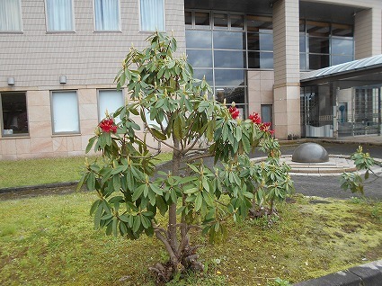 DSCN7992.jpg