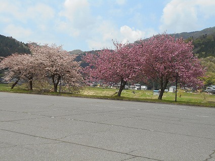 DSCN7994.jpg