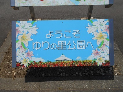 DSCN8004.jpg