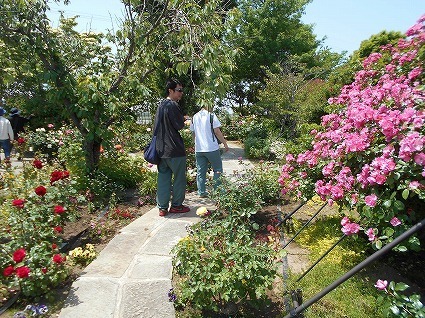 DSCN8005.jpg