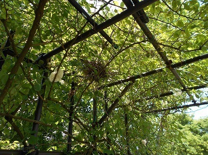 DSCN8015.jpg