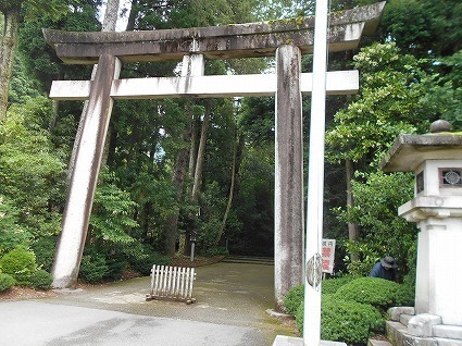 DSCN8036.jpg