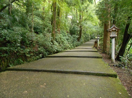 DSCN8037.jpg