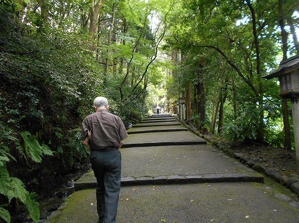 DSCN8039.jpg