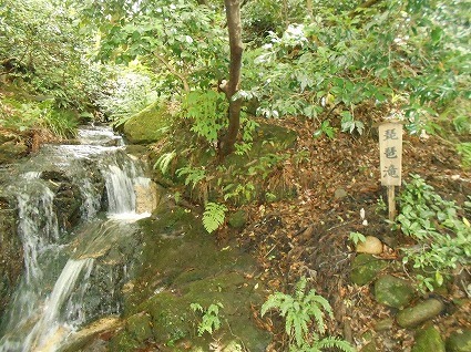DSCN8040.jpg