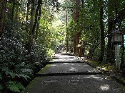 DSCN8041.jpg