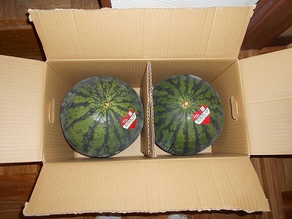 DSCN8069.jpg