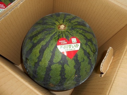 DSCN8070.jpg