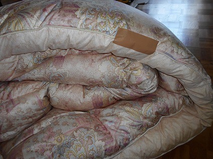 DSCN8079.jpg