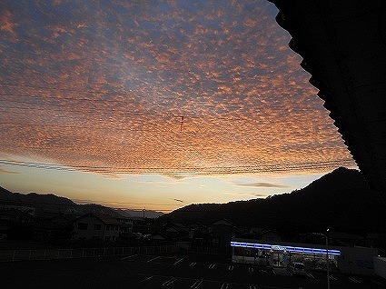 DSCN8080.jpg