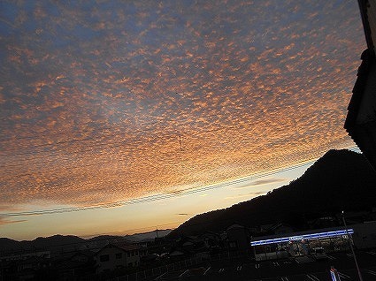 DSCN8081.jpg
