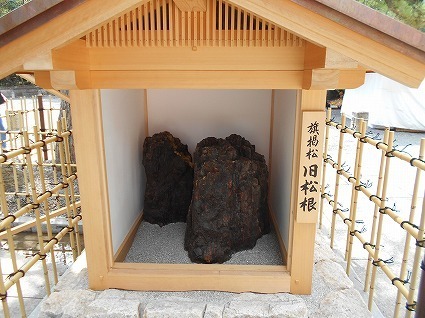 DSCN8123.jpg