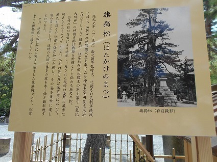 DSCN8124.jpg