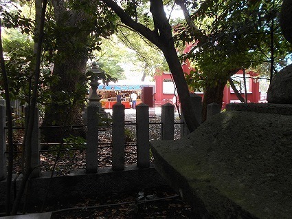 DSCN8125.jpg