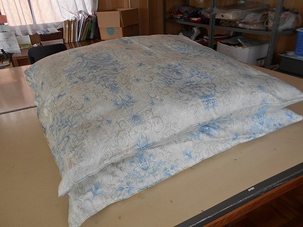 DSCN8151.jpg