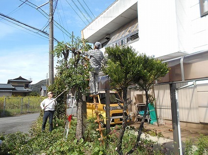 DSCN8158.jpg