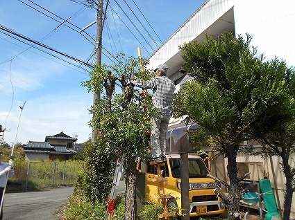 DSCN8159.jpg