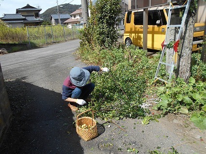 DSCN8160.jpg