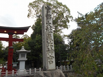 DSCN8161.jpg