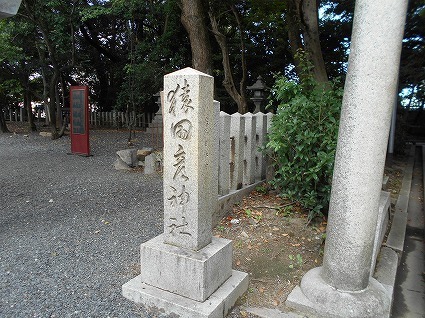 DSCN8162.jpg