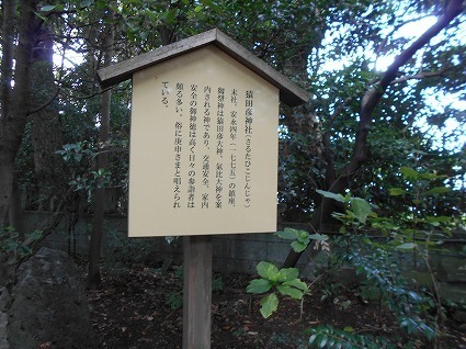 DSCN8163.jpg
