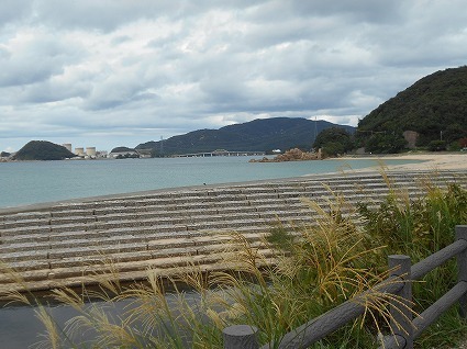 DSCN8169.jpg