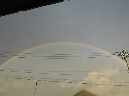 DSCN8178.jpg