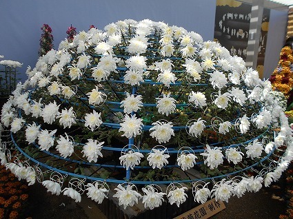 DSCN8194.jpg