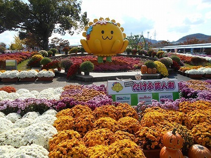 DSCN8199.jpg