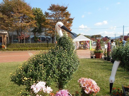 DSCN8205.jpg