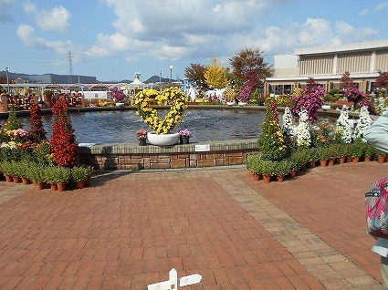 DSCN8206.jpg