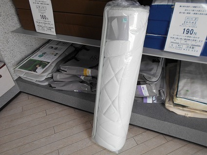 DSCN8207.jpg