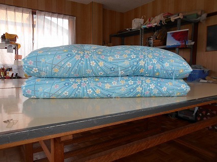 DSCN8219.jpg