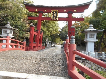 DSCN8230.jpg