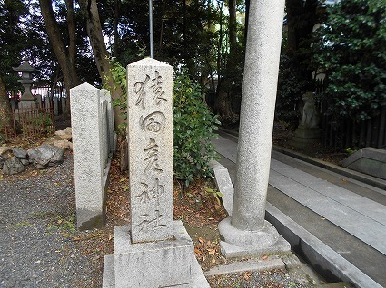 DSCN8231.jpg